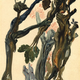 Illustration for article titled Salvador Dalís illustrations for Dantes emDivine Comedy/em are absolutely beautiful